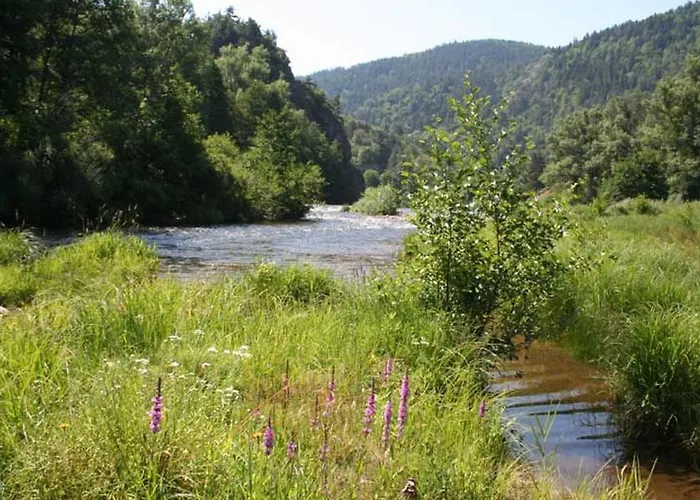 Maison Familiale Avec Terrasse, Grand Terrain Et Proche De La Riviere - Alleyras, 6 Pers. - Fr-1-582-244